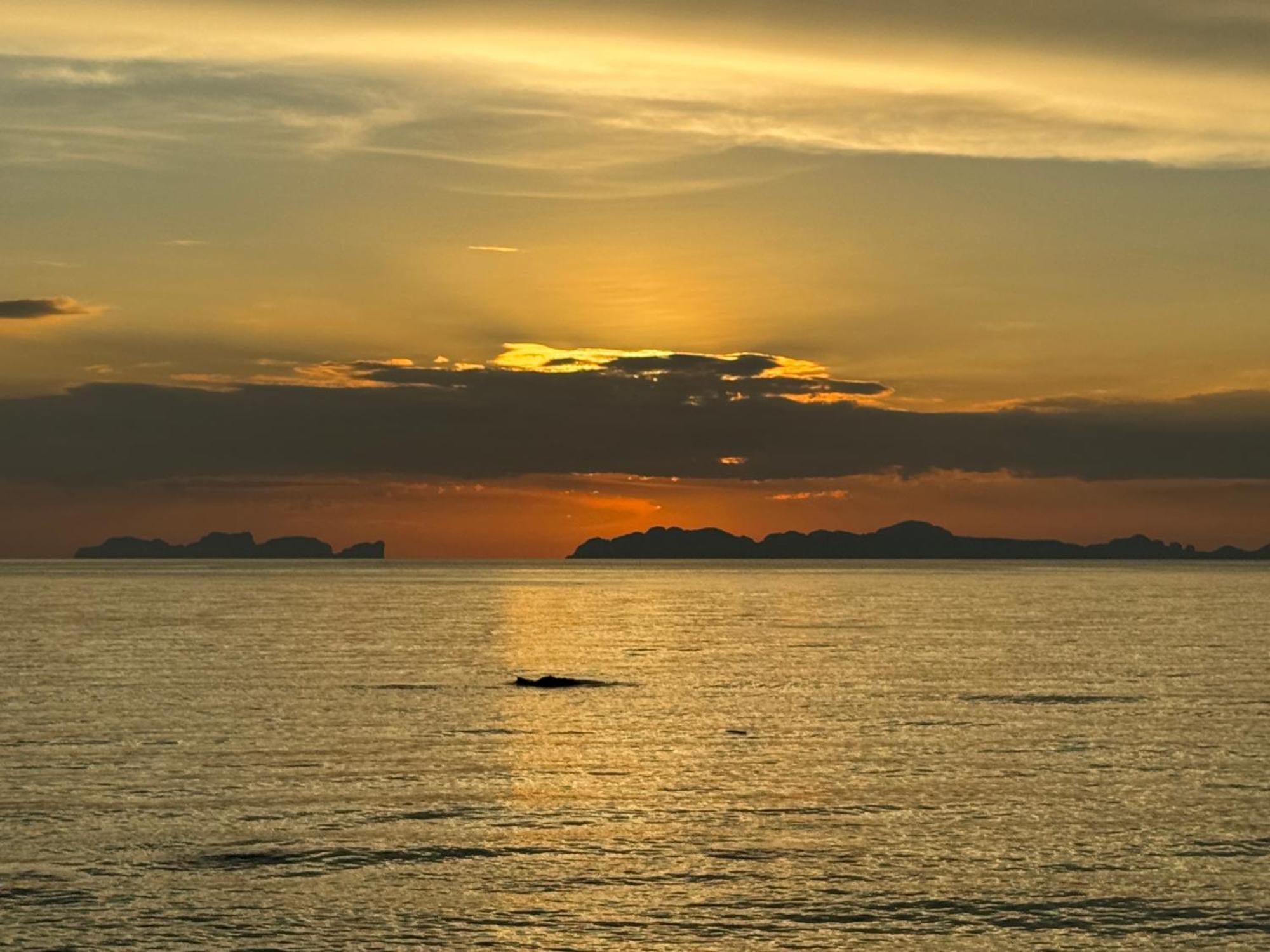 Coco Canopy Boutique Resort Koh Jum Luaran gambar